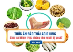 Ăn gì để trung hòa và đào thải acid uric?